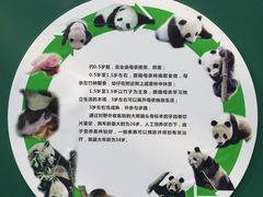 -西安大唐西市博物馆