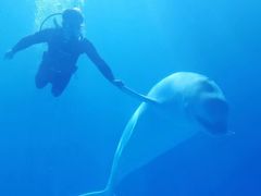 -多彩贵州城极地海洋世界