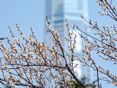 -荔枝公园(福田区)