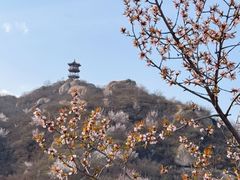 -北京凤凰岭