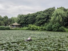-广富林郊野公园