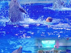 -多彩贵州城极地海洋世界