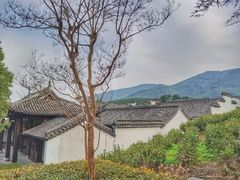 -帐篷客·溪龙茶谷度假酒店