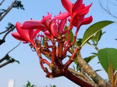 -人民公园(罗湖区)