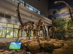 -自贡恐龙博物馆