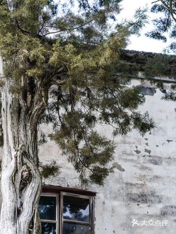 杭州｜邓超孙俪去过的江南小城，是什么神仙地儿