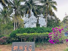 -东郊椰林
