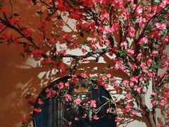 -觅唐MITONG(鸟巢店)