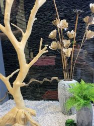 -木北造型