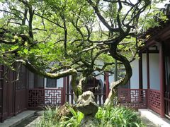 -水绘园