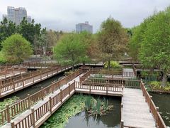 -五缘湾湿地公园