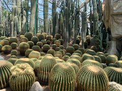 -南山植物园
