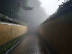 -普陀山风景区-佛顶山