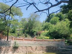 -清风小镇闯关东影视基地