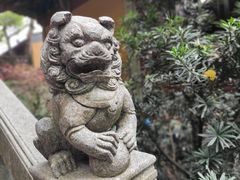 -灵隐飞来峰景区