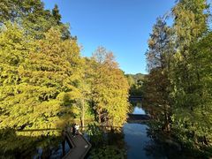 -云溪植物园