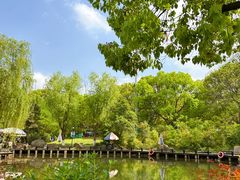 -白马涧龙池景区