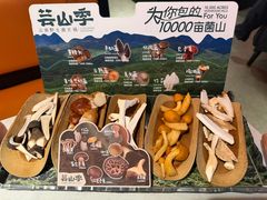 -芸山季·云南野生菌火锅(人民广场来福士店)