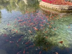 -水磨沟公园