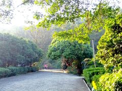 android_upload_pic-南沙天后宫景区