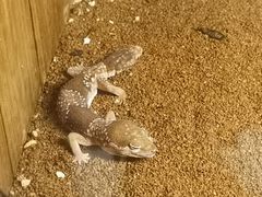 -上海大自然野生昆虫馆