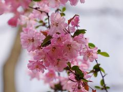 -江苏三台山国家森林公园