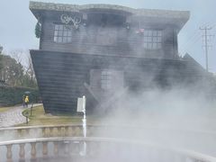 -金山农民画村-枫泾波兰倒置屋