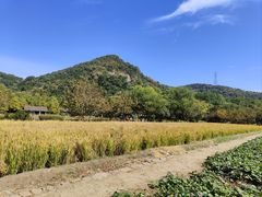 -八卦田遗址公园