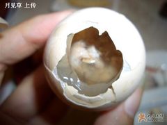 活珠子特写-夫子庙贵宾楼(钞库街店)