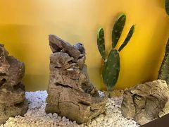 -得闲·高空SPA(东盟店)