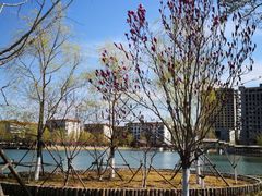 -西海子公园