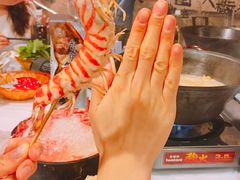 -鲜入围煮花胶鸡海鲜火锅