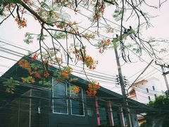 -宁曼路