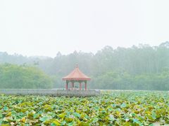 -南国桃园旅游度假区