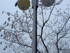 -南开大学滨海学院