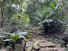 -福清灵石山国家森林公园