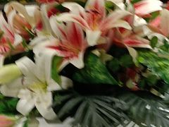 -彩虹之约•淮扬家宴(亚运村店)