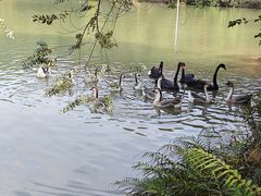 -广州白江湖森林公园