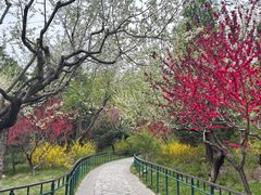 -宣武艺园