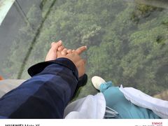 -亚龙湾热带天堂森林公园