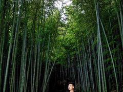-苏州环秀晓筑养生度假村