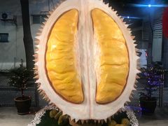 -都念榴莲·城市榴莲