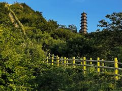 -冶父山国家森林公园