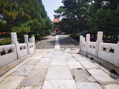 -清东陵