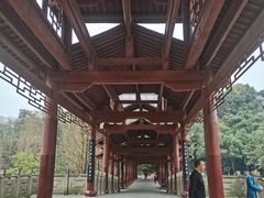 -重庆彩云湖湿地公园