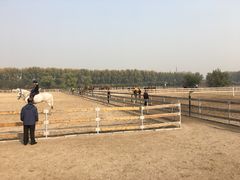 -月河湾马术俱乐部(朝阳店)