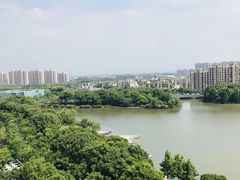 -夏阳湖皇冠假日酒店-自助餐厅