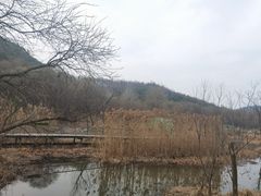 -西湖风景区-江洋畈生态公园