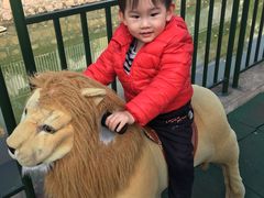 -蒙特利亲子乐园