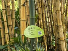 -晓港公园
